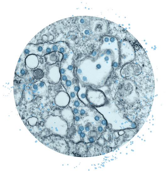 纳米孔测序仪