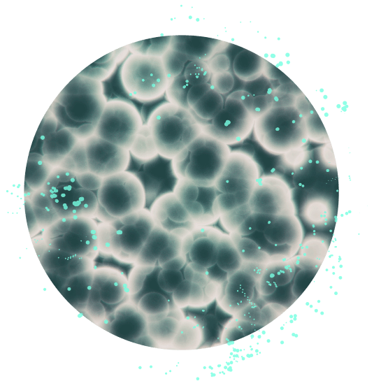 纳米孔测序仪