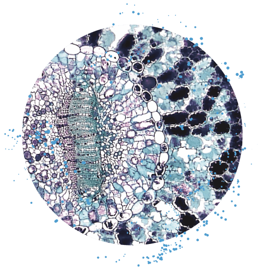 纳米孔测序仪